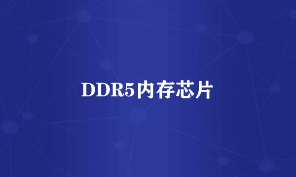DDR5内存芯片