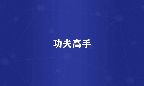 功夫高手