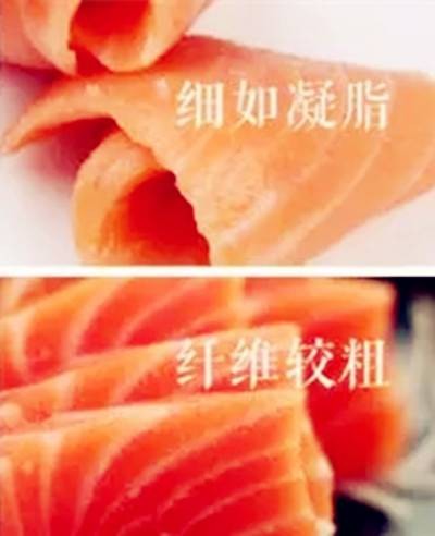 生食三文鱼