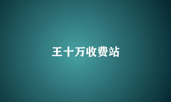 王十万收费站