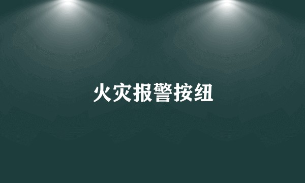 火灾报警按纽