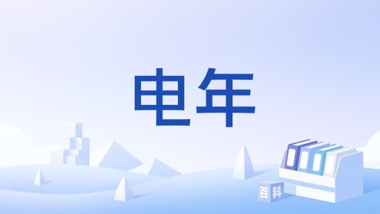 电年