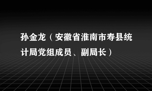 孙金龙（安徽省淮南市寿县统计局党组成员、副局长）