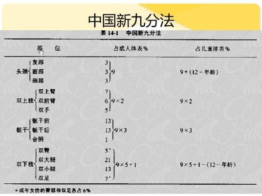 中国新九分法