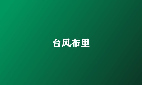 台风布里