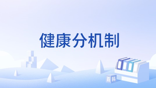 健康分机制