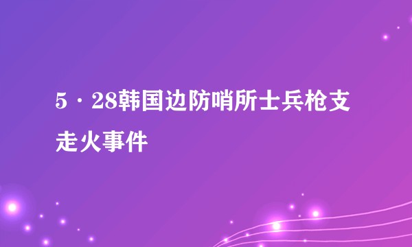 5·28韩国边防哨所士兵枪支走火事件