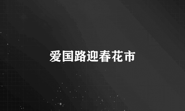 爱国路迎春花市