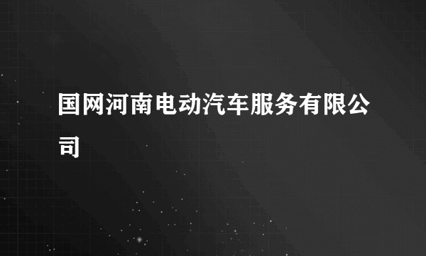 国网河南电动汽车服务有限公司