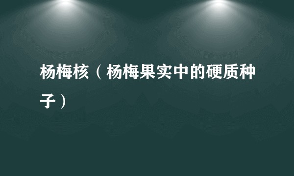 杨梅核（杨梅果实中的硬质种子）