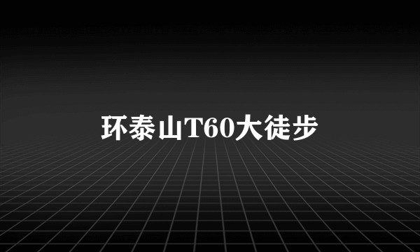 环泰山T60大徒步