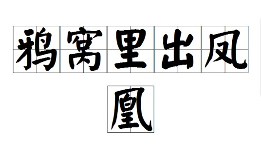 鸦窝里出凤凰
