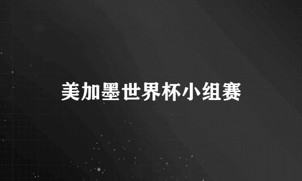 美加墨世界杯小组赛