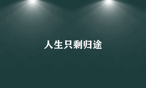 人生只剩归途