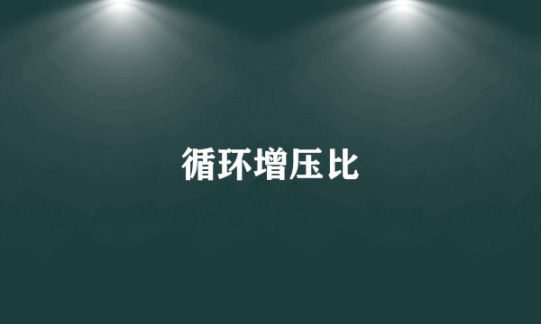 循环增压比