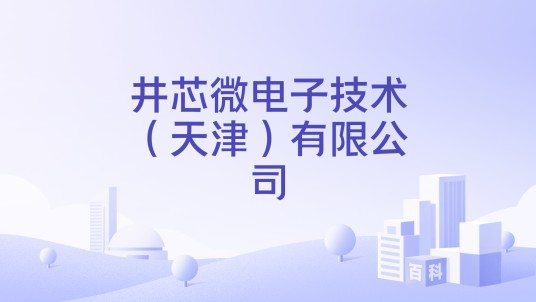 井芯微电子技术(天津)有限公司