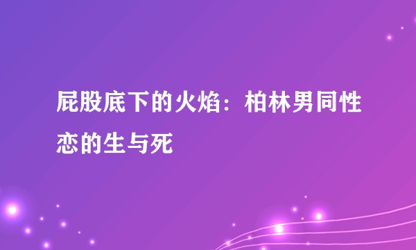 屁股底下的火焰：柏林男同性恋的生与死