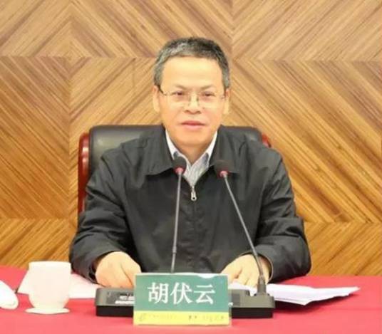 胡伏云（广州证券股份有限公司总裁）