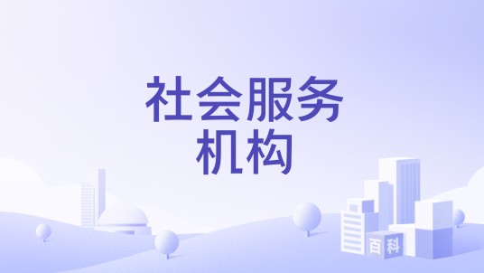 社会服务机构