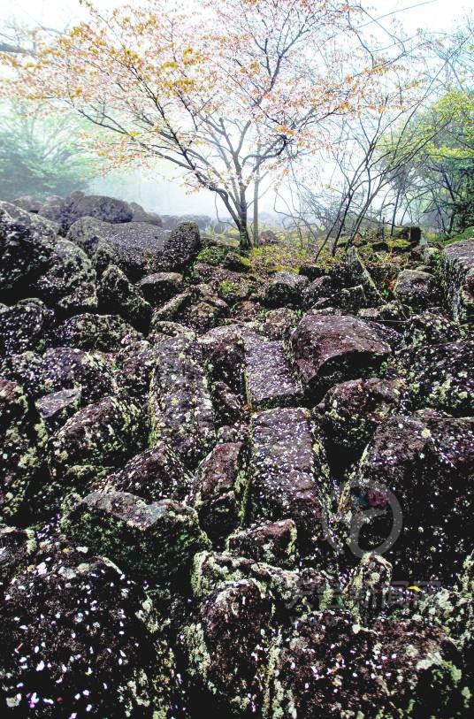 苍山（浙江天台县山峰）