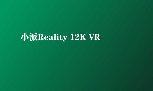 小派Reality 12K VR