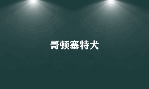 哥顿塞特犬