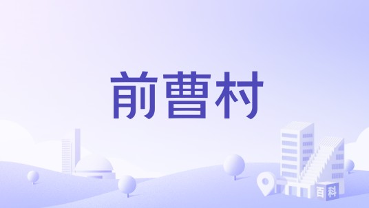前曹村(山东省潍坊市坊子区坊安街道下辖村)