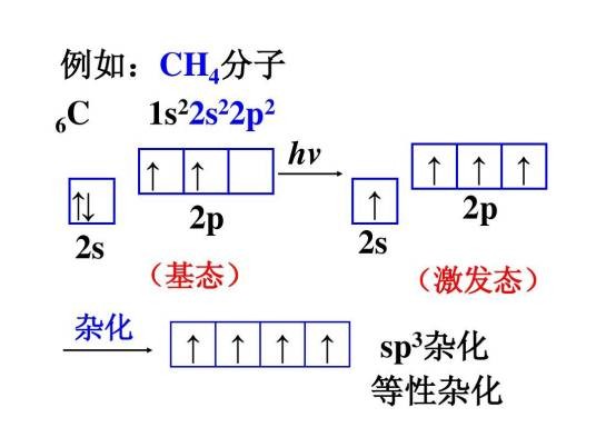 杂化类型