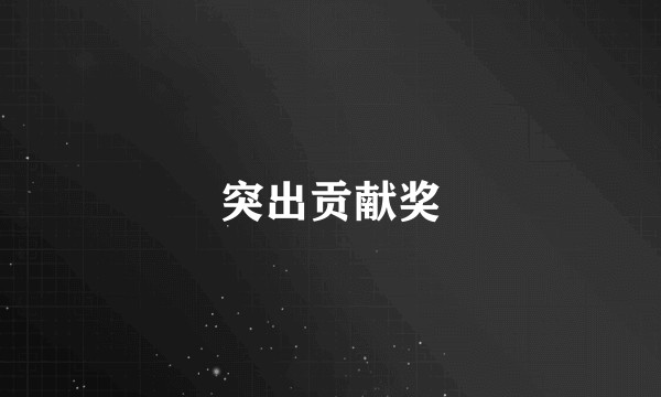 突出贡献奖