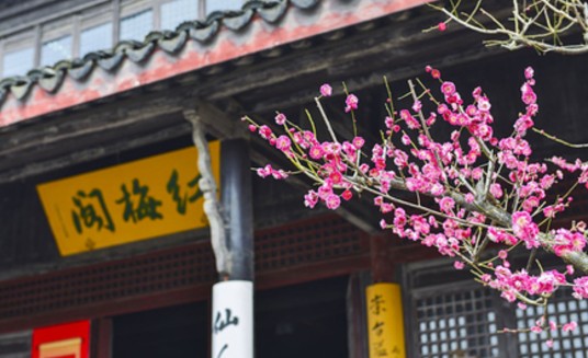 红梅阁(江苏省常州市境内第八批省级文物保护单位)
