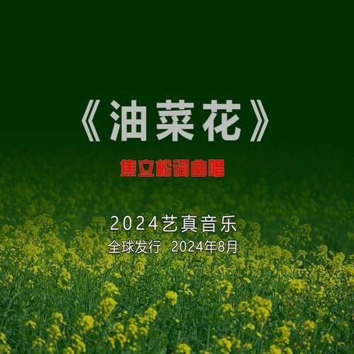油菜花（焦立松演唱的歌曲）