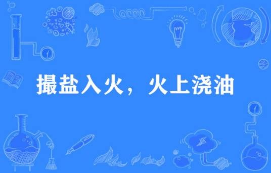 撮盐入火,火上浇油