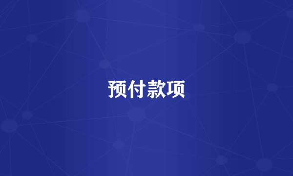 预付款项