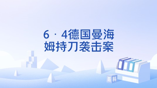 6·4德国曼海姆持刀袭击案