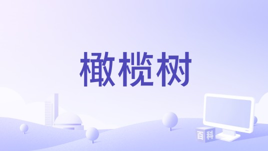 橄榄树（2016年上映电影）