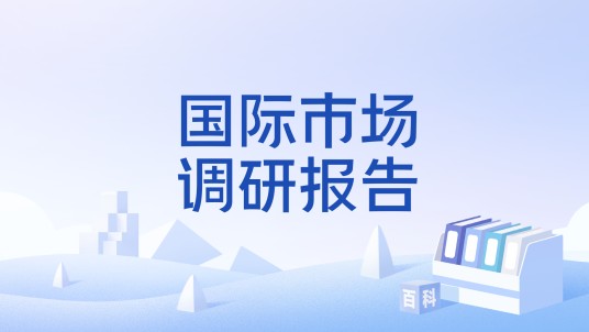 国际市场调研报告