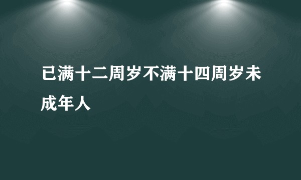 已满十二周岁不满十四周岁未成年人