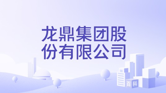 龙鼎集团股份有限公司