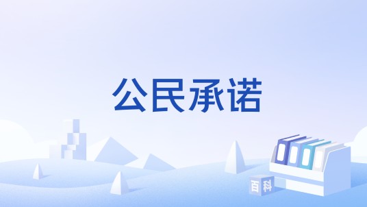 公民承诺