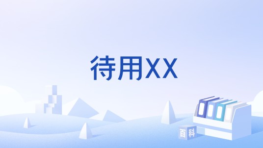 待用XX