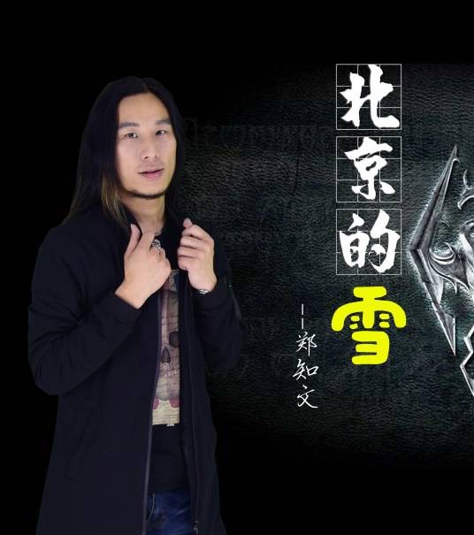 北京的雪(歌手郑知文演唱歌曲)