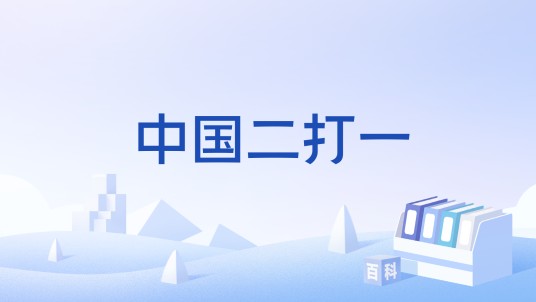 中国二打一
