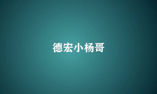 德宏小杨哥