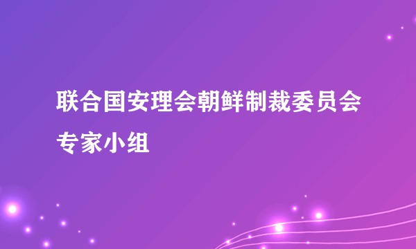 联合国安理会朝鲜制裁委员会专家小组