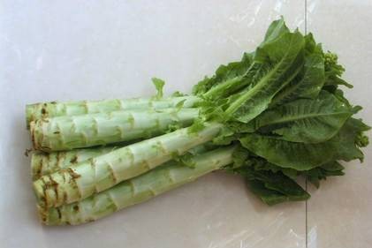 莴苣（菊科莴苣属植物）