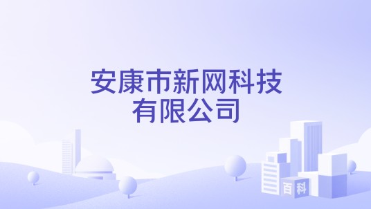 安康市新网科技有限公司