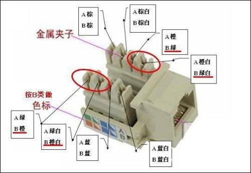 网线模块