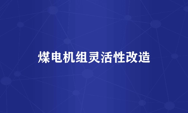 煤电机组灵活性改造