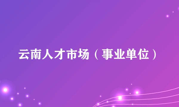 云南人才市场（事业单位）