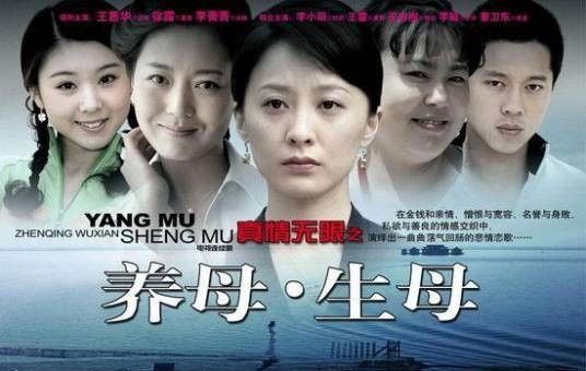 养母（2011年温成林执导的电视剧）